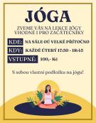 Pravidelné lekce jógy 1